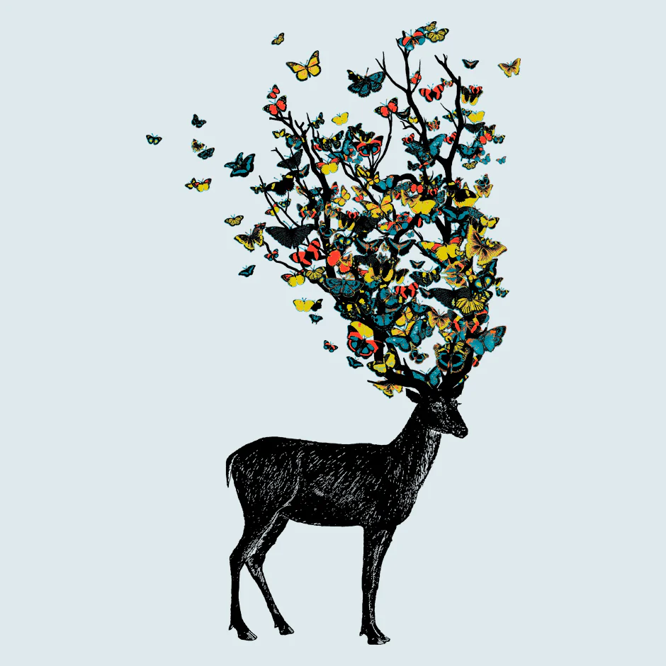 Colorful Nature - Image 2
