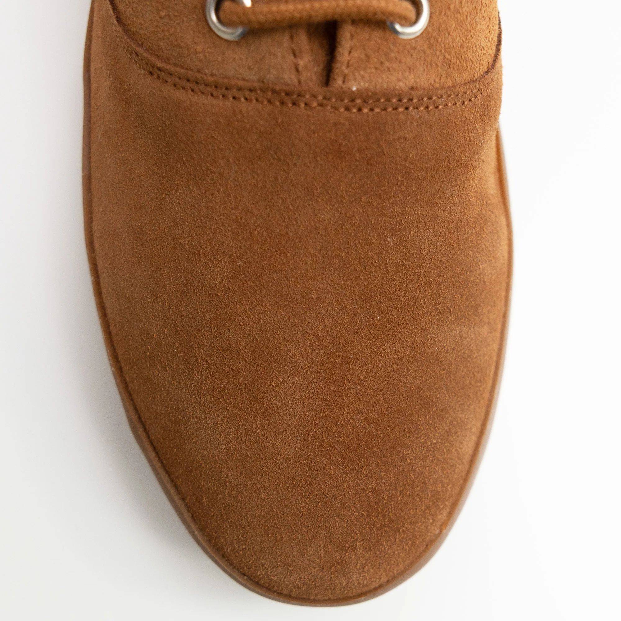 Oris Tectum - Image 7