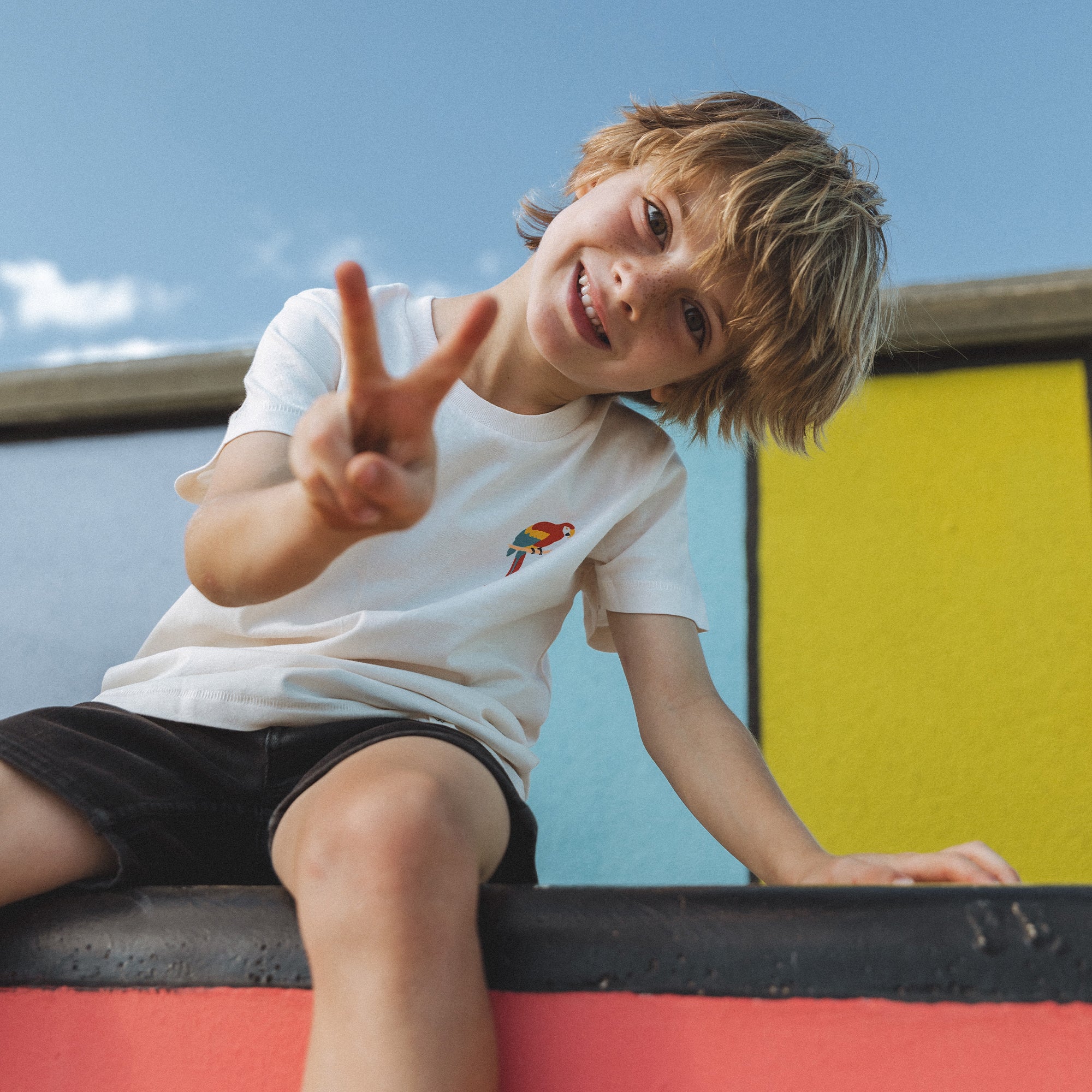 Parrot Kids - Image 3