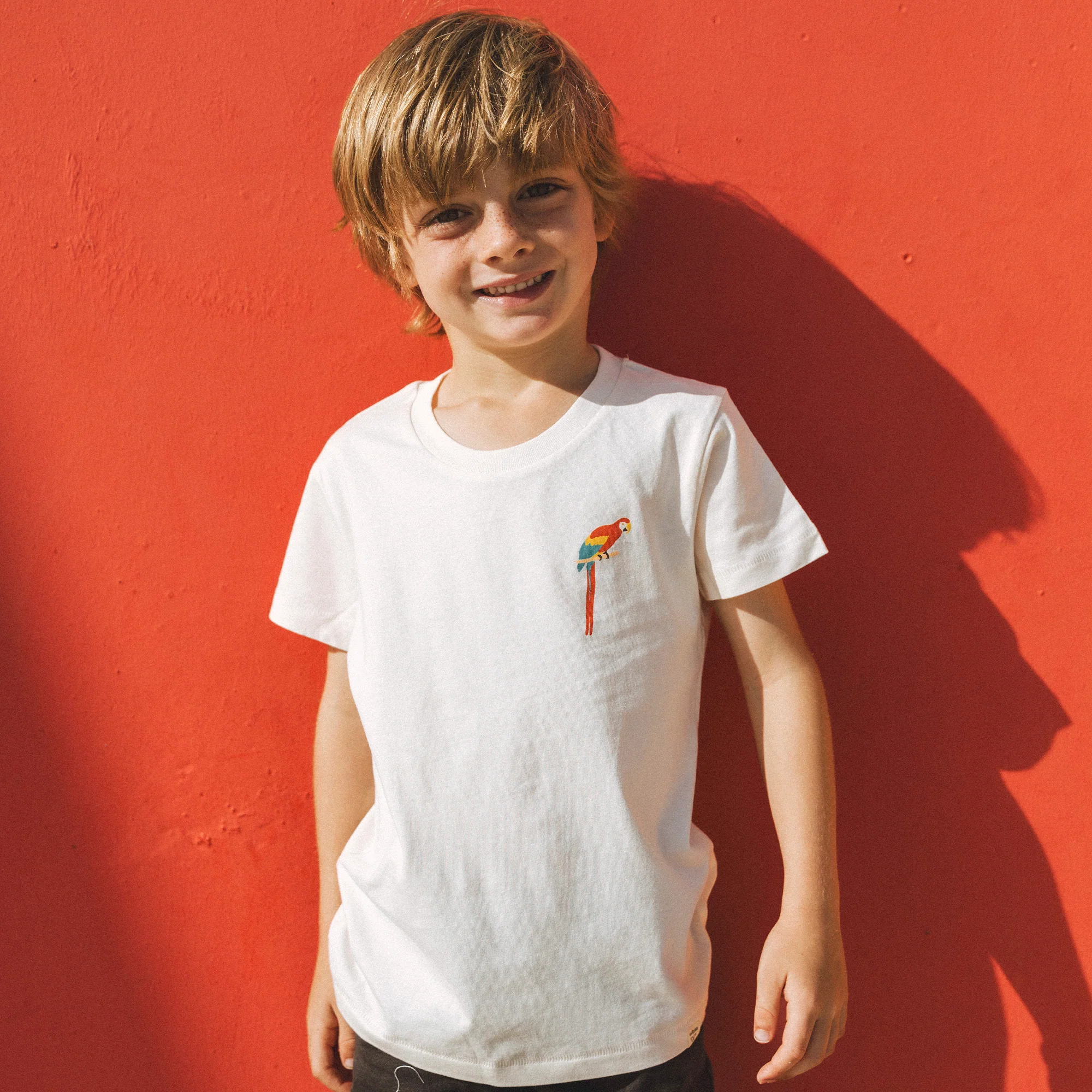 Parrot Kids - Image 4
