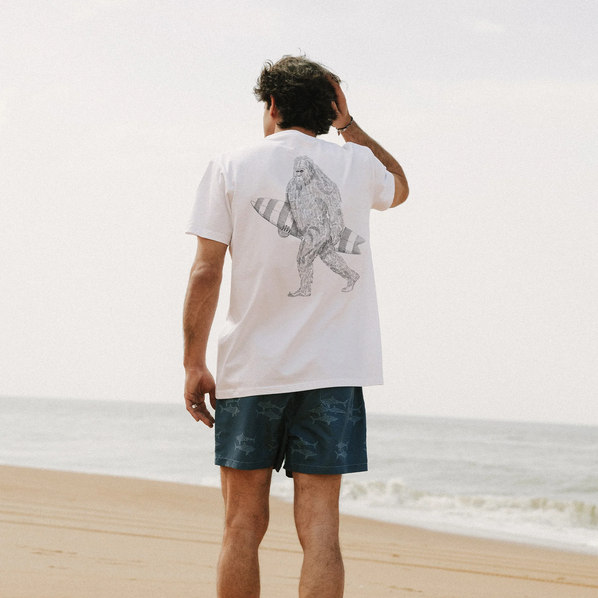 Surfer Harry - Image 4